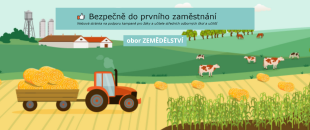 Bezpečně do prvního zaměstnání
